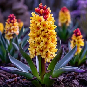 Гиацинт Миднайт Мистери купить по цене от 2099р. в интернет-магазине «Посадика» с доставкой почтой в в Усолье-Сибирскоее и по всей России – [изображение №1].